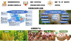 <b>网（湖北日报网）特筹谋2025校傲荆楚系列报道—</b>